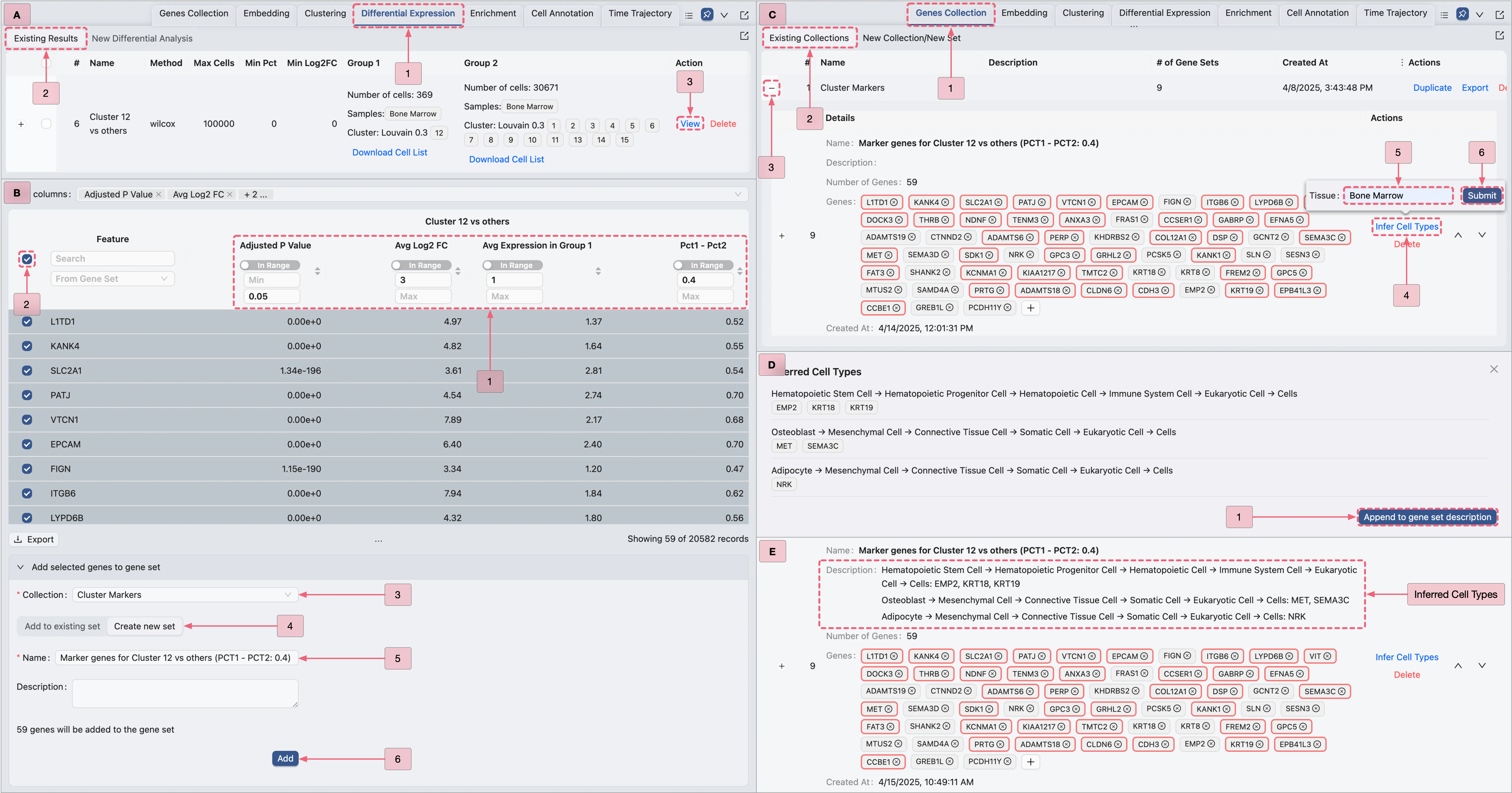 Inferring Cell Type for Population 4 Inferring Cell Type for Population 4