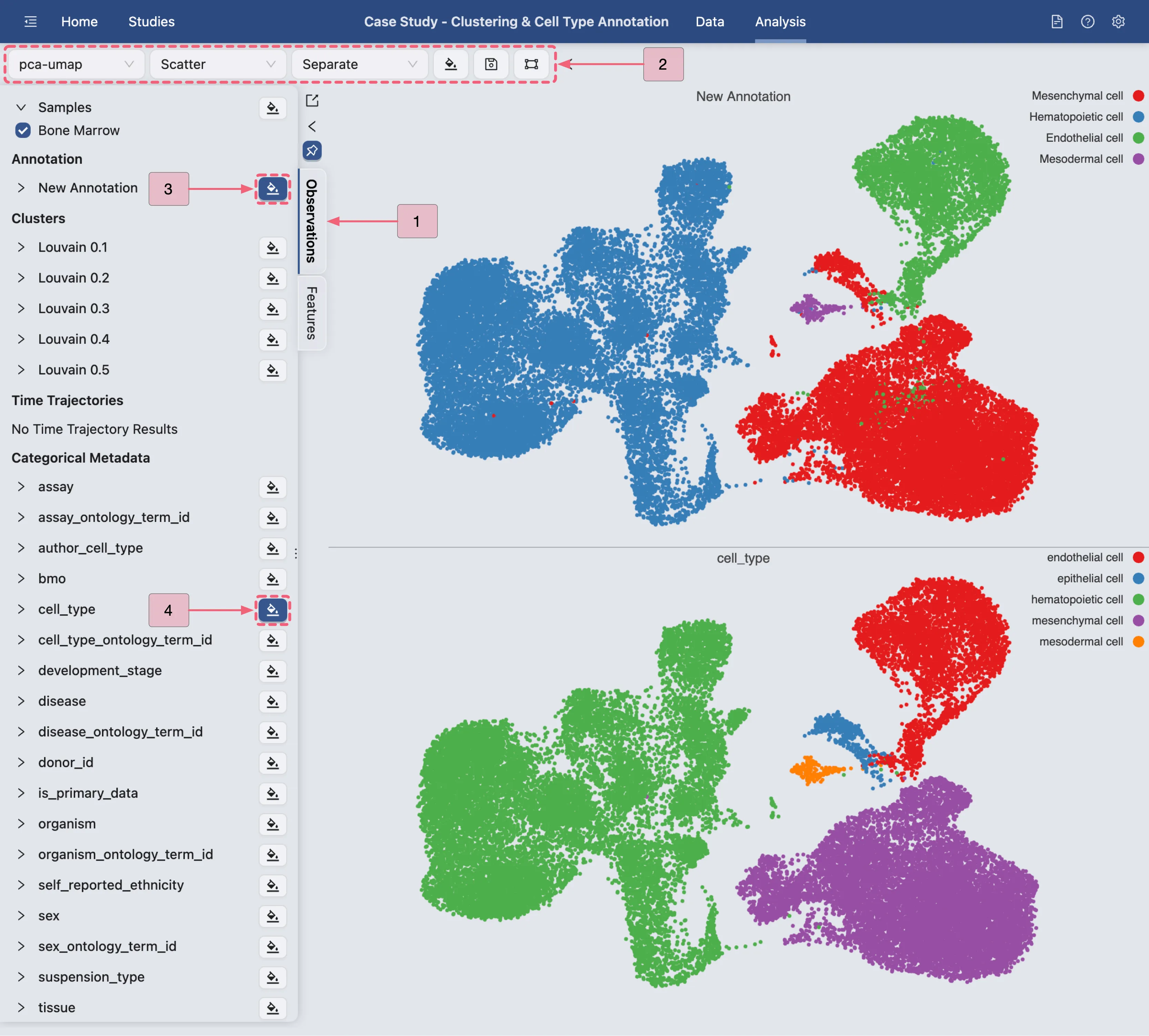 The Final Cell Type Annotation Result The Final Cell Type Annotation Result
